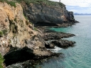 catlins (44)